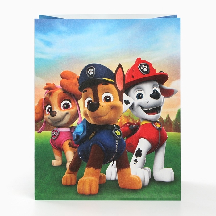 Набор крафтовых пакетов со стикерами, Щенячий патруль, 18х22х12 см