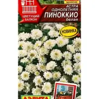 Семена цветов Астра Пиноккио белая  Цветущий балкон, Ц/П,0,05 г