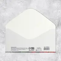 Конверт для денег &laquo;С Днем Рождения!&raquo;, 16.5&times;8 см