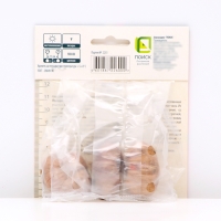 Гладиолус крупноцветковый &laquo;Эдванс&raquo;, луковица цветов в пакете с перфорацией, р-р 10/12, 3 шт.