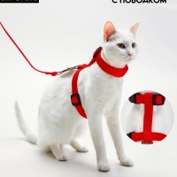 Комплект для кошек, ширина 1,5 см, ОШ 16,5-27 см, ОГ 21-35 см, поводок 120 см, красный