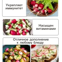 Семена Редис "Дуро Краснодарское", 1 г