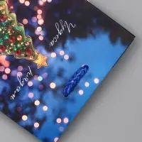 Пакет подарочный новогодний ламинированный, &laquo;Дед Мороз&raquo; , 11.5&times;6.5&times;14.5 см