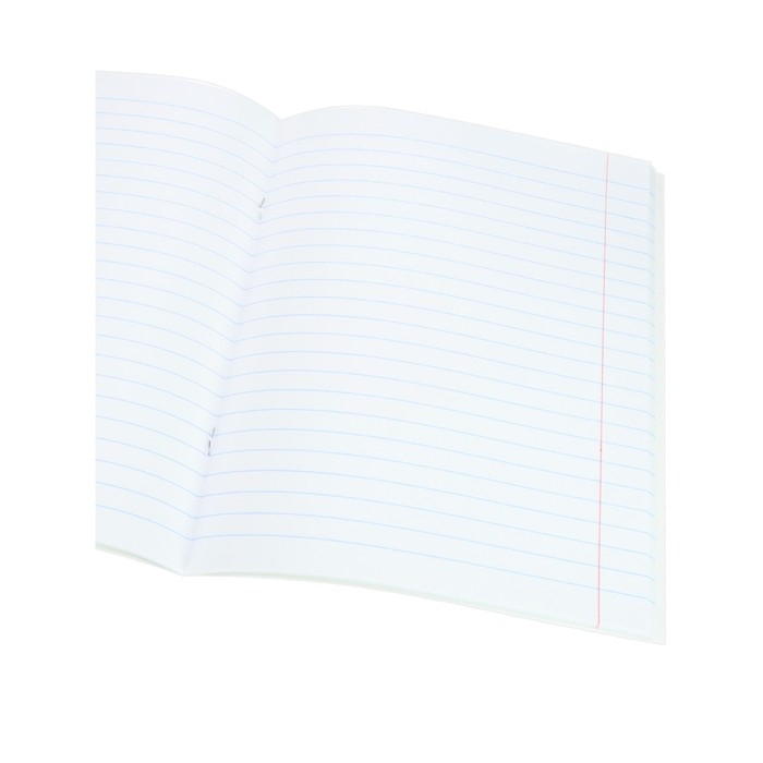 Тетрадь предметная 48 листов в линию Аниме "Литература", обложка мелованный картон, тиснение холодной фольгой, ламинация Soft-Touch, блок офсет