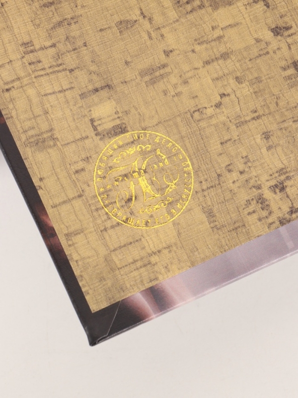 Сейф-книга дерево кожзам "Мегаполис. Девушка. Настроение" 21х13х5 см