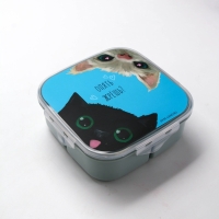 Ланч - бокс с секциями и ложкой &laquo;Коты&raquo;, 17,8 х 17,8 х 7 см