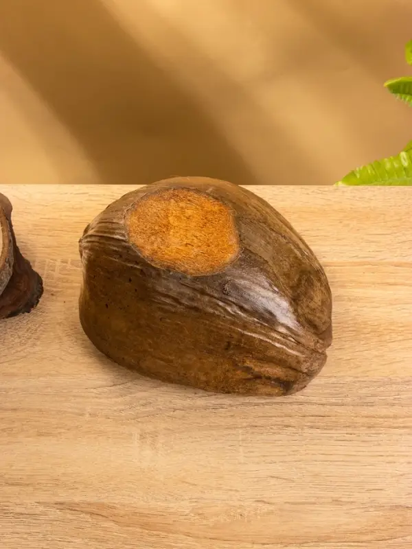 Чаша из кокоса, 15.5&times;21&times;7 см, коричнево-золотая