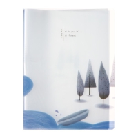 Папка формат А4, с 40 прозрачными файлами "Река", МИКС Папка формат А4, с 40 прозрачными файлами "Река", МИКС