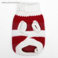 Свитер, размер 6 (24-28 см), микс расцветок Свитер, размер 6 (24-28 см), микс расцветок