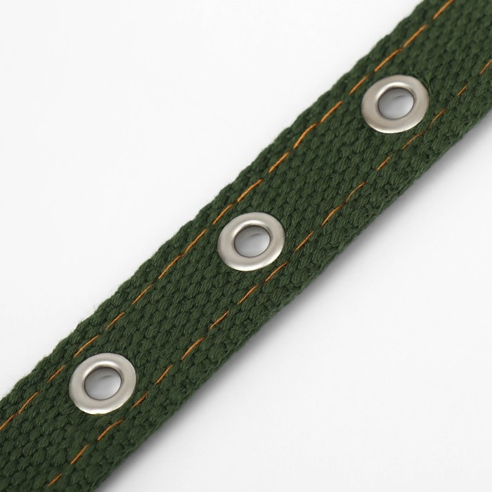 Ошейник брезентовый двухслойный, 52 х 2 см, хаки