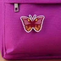 Аппликация &laquo;Бабочка&raquo;, на липучке, с клеевой основой, 5.6&times;4.2 см