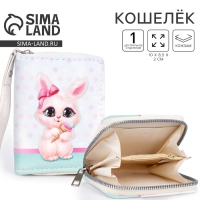 Кошелёк детский &laquo;Зайка&raquo; 10х8.5х2 см, голубой