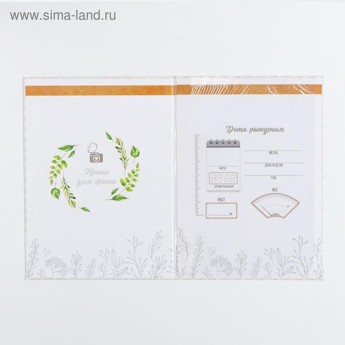 Папка для свидетельства о рождении &laquo;Мишки&raquo;, А4