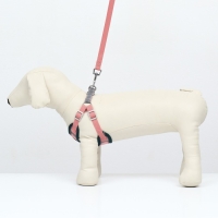 Комплект Sport+, XS, поводок 120 x 1,5 см, ОШ 37-39 см, ОГ 41-46 см, вес животного 4-6 кг, розовый Комплект Sport+, XS, поводок 120 x 1,5 см, ОШ 37-39 см, ОГ 41-46 см, вес животного 4-6 кг, розовый