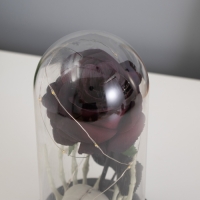 Светильник колба &laquo;Череп с розой&raquo; 1,5Вт, LED, 3xAAA, черный USB 11х11х21см