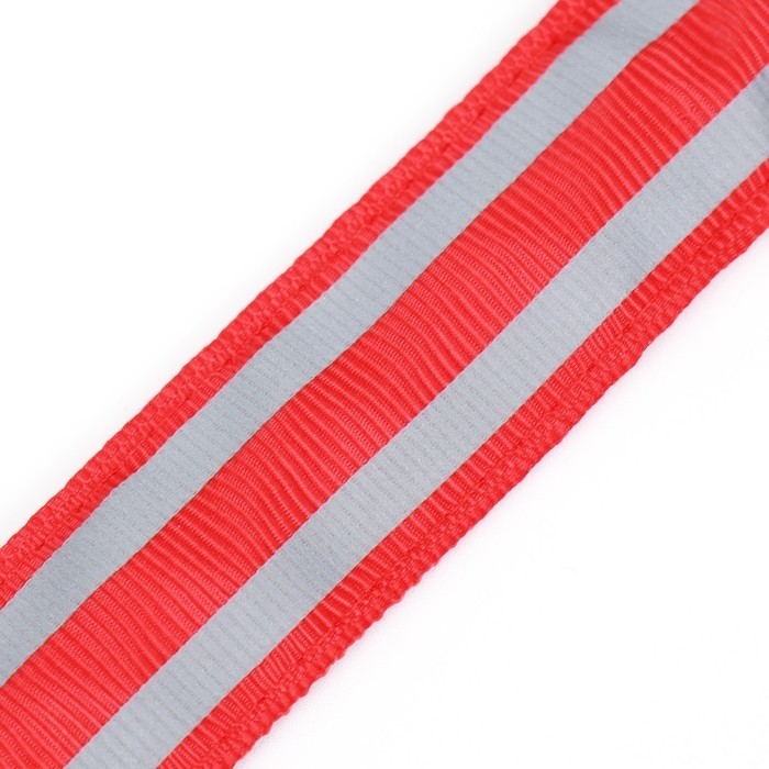 Ошейник с подсветкой Двойная полоса размер L, ОШ 45-52 х 2,5 см, 3 режима свечения красный