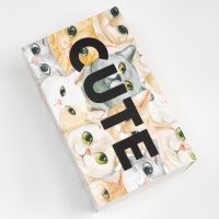 Набор женских носков KAFTAN Cute 2 пары, размер 36-39 Набор женских носков KAFTAN Cute 2 пары, размер 36-39