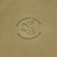 Тарелка мелкая &laquo;Акварель&raquo;, d=24 см, цвет фисташковый