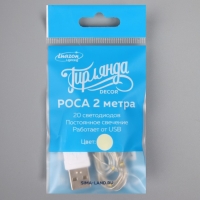 Гирлянда &laquo;Нить&raquo; 2 м роса, IP20, серебристая нить, 20 LED, свечение тёплое белое, USB