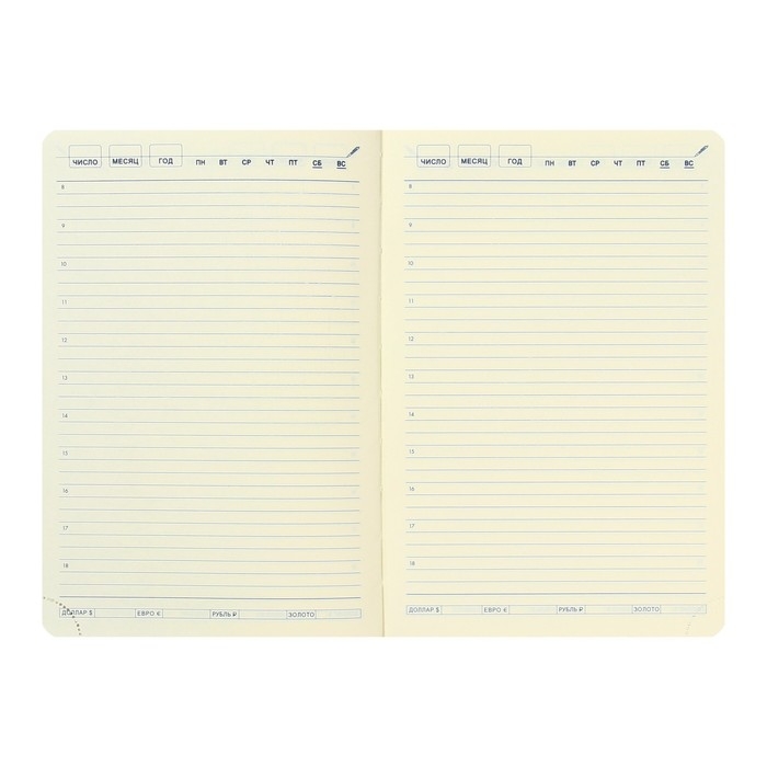 Ежедневник НЕдатированный А5, 136 листов в линейку, кожзам "Небраска", золотой срез, зеленый