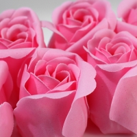 Подарочный набор: ежедневник А5,80 листов и мыльные лепестки «Тюльпаны 8 марта» Подарочный набор: ежедневник А5,80 листов и мыльные лепестки «Тюльпаны 8 марта»