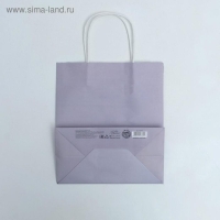 Пакет подарочный крафтовый, упаковка, &laquo;Крутой&raquo;, 22 х 25 х 12 см