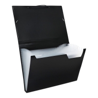 Папка картотека А4, Calligrata, 13 отделений, пластиковая, 700 мкм, чёрная Папка картотека А4, Calligrata, 13 отделений, пластиковая, 700 мкм, чёрная