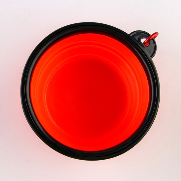 Набор поилка и силиконовая миска &laquo;&lrm;Друзья навсегда&raquo;&lrm;