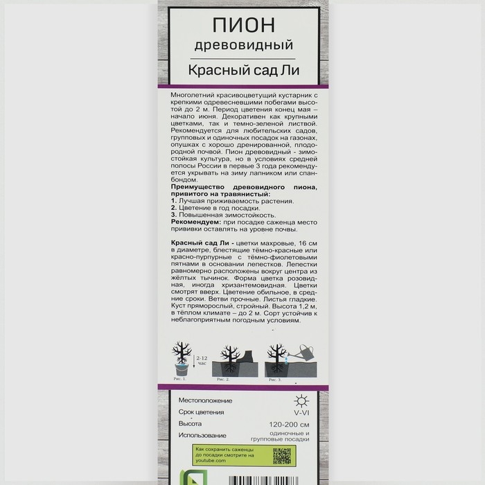 Пион древовидный (привитый на травянистый) &laquo;Красный сад Ли&raquo; 3 шт., саженец, цветущий, туба