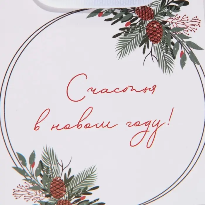 Пакет подарочный новогодний ламинированный квадратный &laquo;Зима&raquo;, 14 х 14 х 9 см