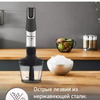 Погружной блендер InfinyForce Pro DD95HD10 с 6 насадками Погружной блендер InfinyForce Pro DD95HD10 с 6 насадками