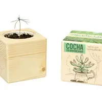 Набор для выращивания &laquo;Экокуб&raquo;, сосна