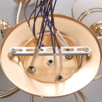 Люстра "Бриана" 8х40Вт Е27 Золото МОДЕЛЬ: 2800087 Люстра "Бриана" 8х40Вт Е27 Золото МОДЕЛЬ: 2800087