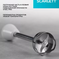 Погружной мощный блендер с насадками 700 Вт, SC-HB42F91