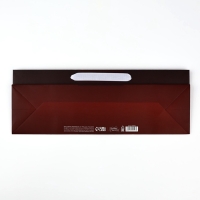 Пакет под бутылку горизонтальный &laquo;Подарок&raquo;, 36 &times; 10 &times; 13 см