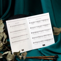 Глюкофон - музыкальный инструмент, черный, 8 лепестков, 15 х 9 см Глюкофон - музыкальный инструмент, черный, 8 лепестков, 15 х 9 см