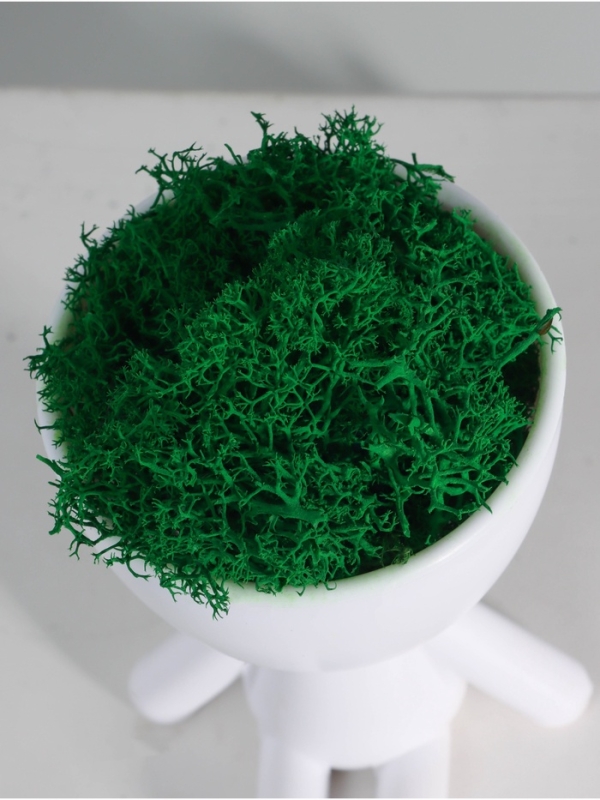 Кашпо пластиковое "Мистер Грин сидит" 13*9*7,3 см белый