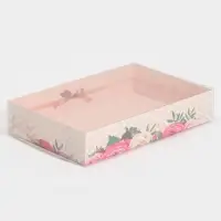 Кондитерская упаковка, коробка для макарун с пластиковой крышкой, &laquo;Хорошего дня!&raquo;, 18 х 12 х 3.5 см