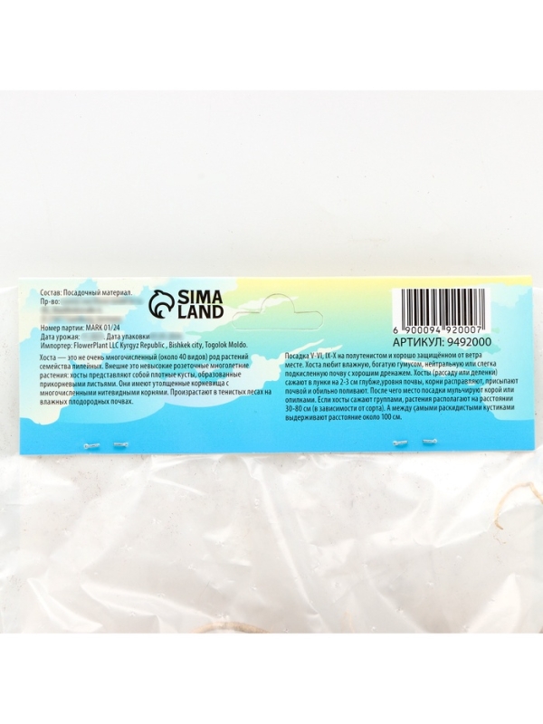 Хоста Undulata Mediovariegata, корневище в пакете с торфогрунтом, р-р I, размер M,1 шт.