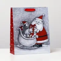 Пакет ламинированный "Дед мороз и пингвинёнок", 26 x 32 x 12 см