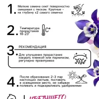 Семена аквилегия &laquo;Алтайский гигант&raquo;, цветной пакет, 0.05 г