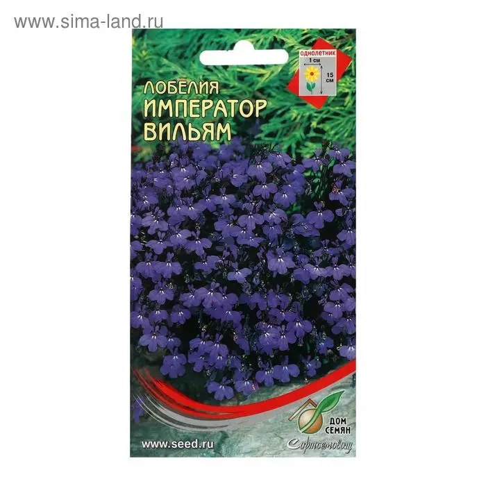 Семена цветов  Лобелия "Император Вильям", 1000 шт