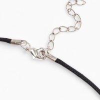 Кулон на шнурке &laquo;Дельфины&raquo; пара, цвет чернёное серебро на чёрном шнурке, 45 см