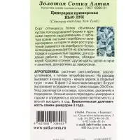 Семена Цинерария Нью Лук /Сотка/ 10шт/ гранулы h-30см Benary/*500