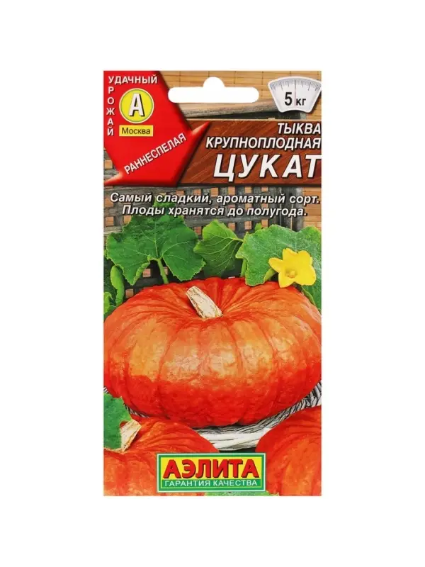 Набор семян Тыква крупноплодная "Цукат",  5 шт.