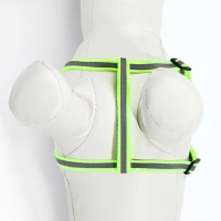 Комплект со светоотражающей лентой, ошейник 120 х 1 см, ОГ 26-40 см, зеленый