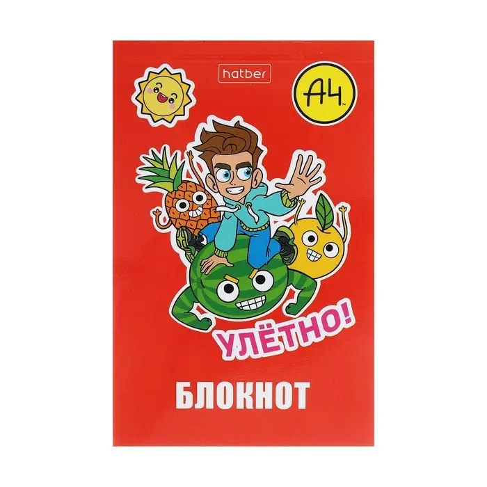 Блокнот А7, 48 листов, в клетку, на склейке, "Влад А4", обложка мелованная бумага, ламинация, трёхцветный блок, блок 60 г/м&sup2;, 5В МИКС