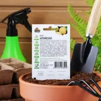 Семена Дыня "Алтайская", ц/п,  0,5 г  серия ХИТ х3