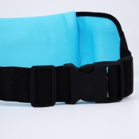 Сумка для бега поясная, на молнии, цвет голубой