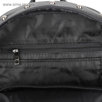 Рюкзак молодёжный, отдел на молнии, цвет чёрный Рюкзак молодёжный, отдел на молнии, цвет чёрный